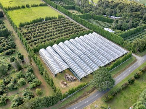 65 Tatton Road, Maungatapere