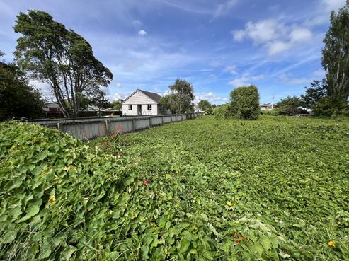 53 Cracroft Street, Waitara