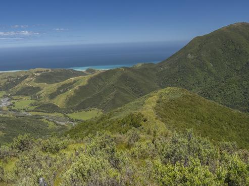 419 Kaiwaka Road, Cape Palliser