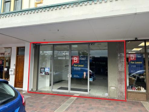 251 Emerson Street, Napier South
