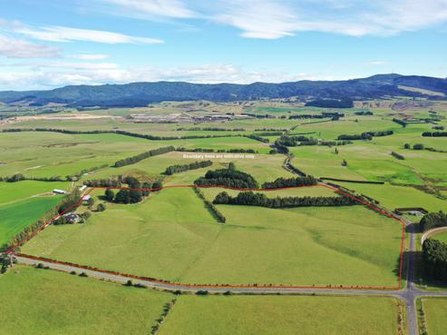 1216 Waimumu Road, Gore Surrounds