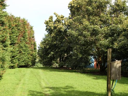 65 Turk Valley Road, Awanui