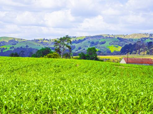 357 Patunamu Road, Tuai/Ohuka