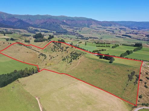 759 Table Flat Road, Apiti