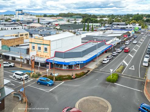 228 Thames Street, Morrinsville