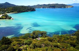 Lot 1 DP 6 Puriri Bay Road, Great Barrier Island