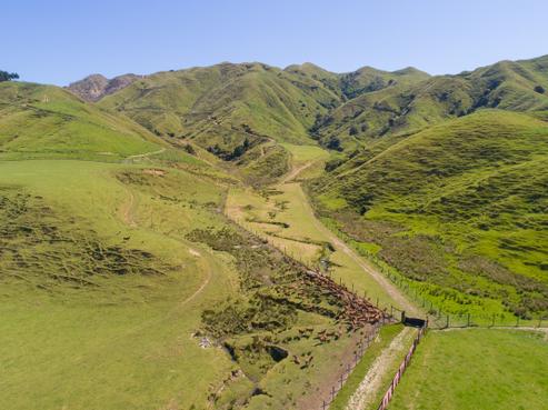 62 Mangaone North Road, Otaki