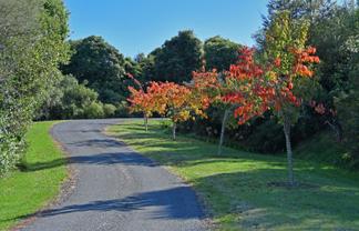 12 Oakdale Drive, Kinloch