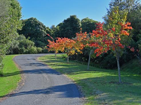 12 Oakdale Drive, Kinloch