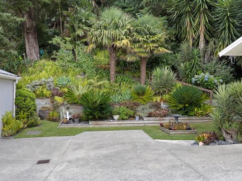 24 Park Road, Dargaville