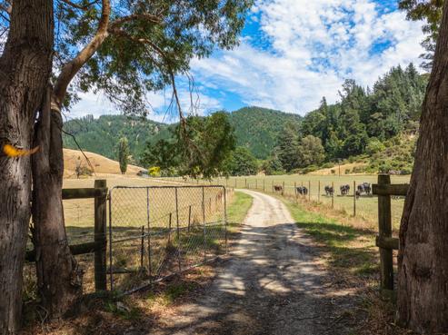 407 Onamalutu Road, Wairau Valley