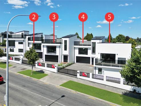 31 Palmerston Street, Hamilton Central