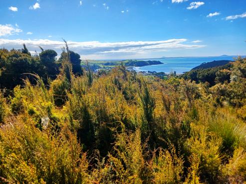 120 Stratford Drive, Cable Bay