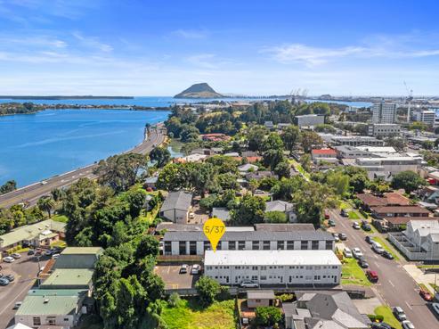 5/37 Selwyn Street, Tauranga Central