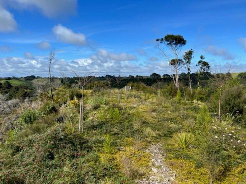225A Awhitu Central Road, Awhitu