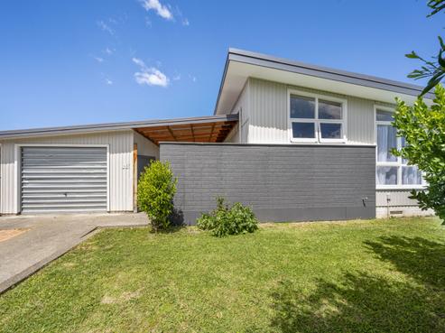 33 Alexander Avenue, Onekawa