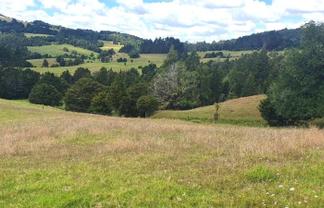 173 Monument Road, Hukerenui