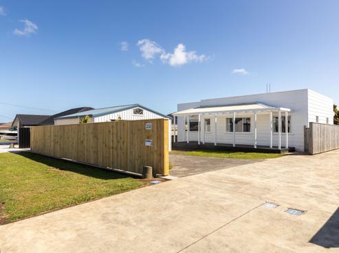 251 Huatoki Street, Upper Vogeltown