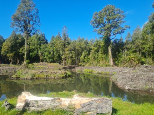 378A Kumara Junction Highway, Hokitika
