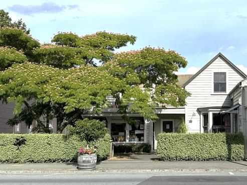 81 Main Street, Greytown