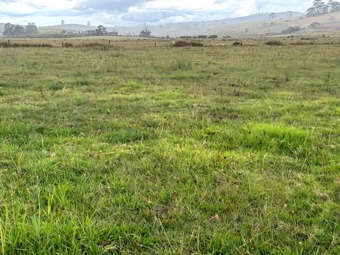 1042 Whatitiri Road, Poroti