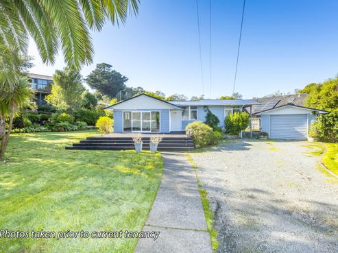 16 Akatarawa Road, Brown Owl