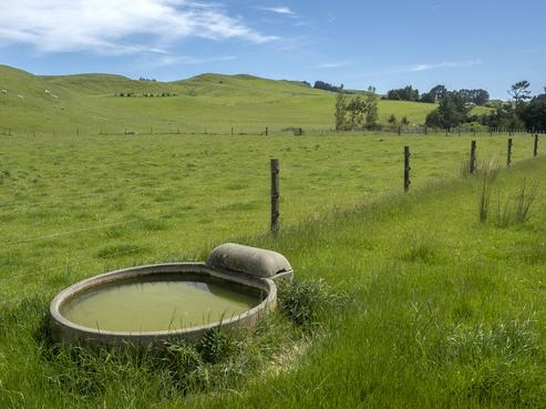 106 Tuturewa Road, Dannevirke