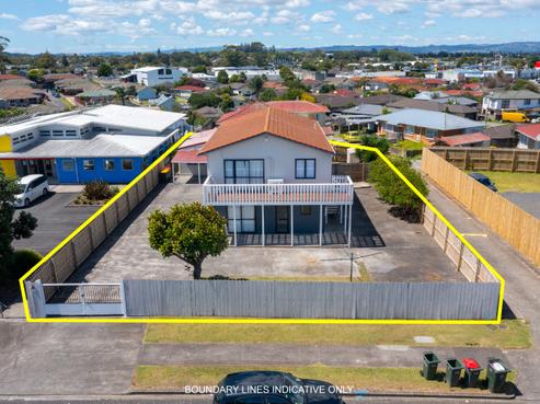 77 Maplesden Drive, Clendon Park