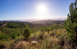 Win Valley Road, Upper Moutere