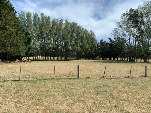113 Ward Road, Cheviot