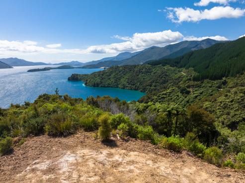735 Elie Bay Road, Pelorus Sounds