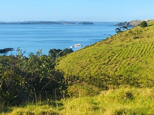 29 Ocean View Crescent, Rakino Island