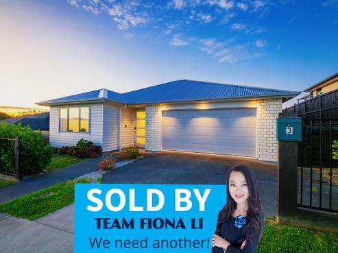 3 Tararua Street, Massey
