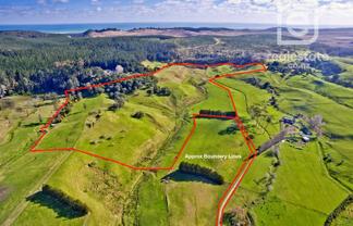 95 Twin Springs Drive, Helensville