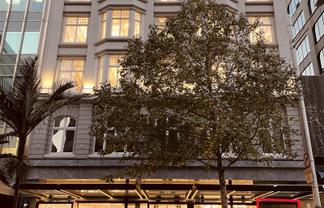 PRIME QUEEN STREET BASEMENT RETAIL NEAR AOTEA ...