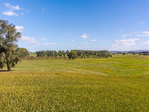 271 Cruickshank Road, Tokanui