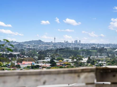 102 Joseph Street, Flat Bush