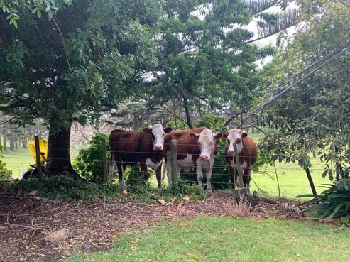 2448 Far North Road, Awanui