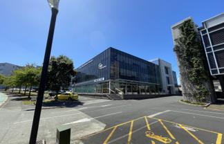Modern Corner Office - Takapuna