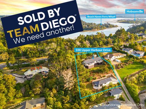 100 Upper Harbour Drive, Greenhithe