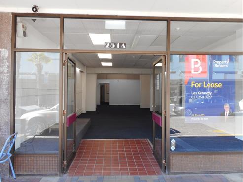 251A Emerson Street, Napier South