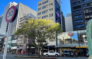 2 Woodward Street  (Part level 3, 87sqm)