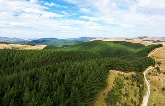 1151 Waitawhiti  Road, Tinui