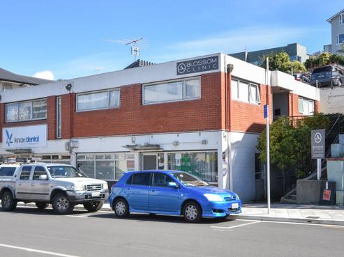 483 George Street, North Dunedin