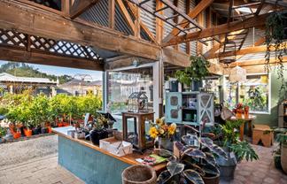 A longstanding local business, ripe with opportunity!