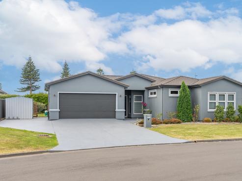 113 Hunter Drive, Awatoto