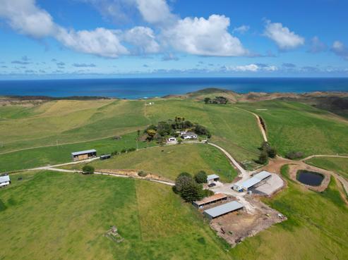 796 Mahuta Road, Dargaville Surrounds