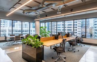 Boutique Creative Suite