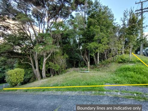 70 Shetland Street, Glen Eden