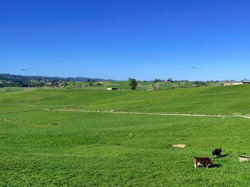 298 Waiteitei Road, Wellsford